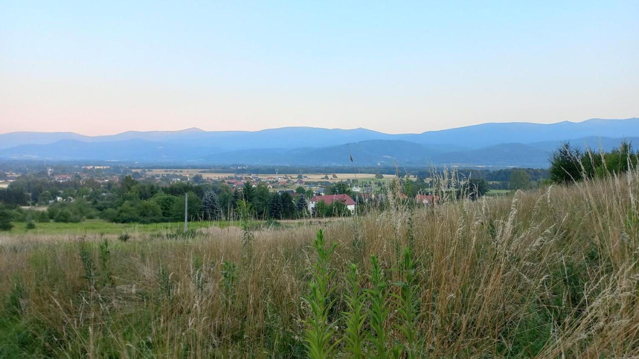 Appartamento Waniliowe Zacisze Jelenia Góra Esterno foto