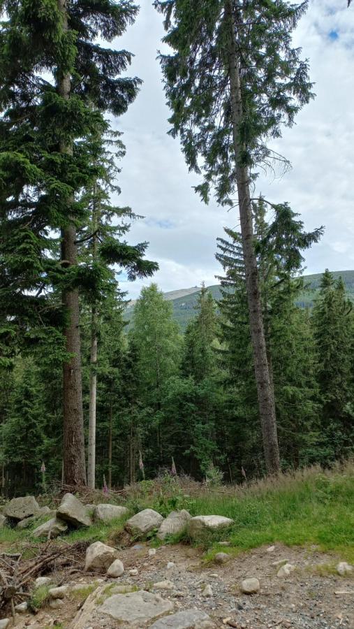Appartamento Waniliowe Zacisze Jelenia Góra Esterno foto