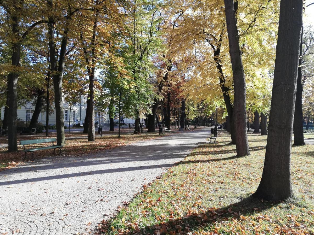 Appartamento Waniliowe Zacisze Jelenia Góra Esterno foto
